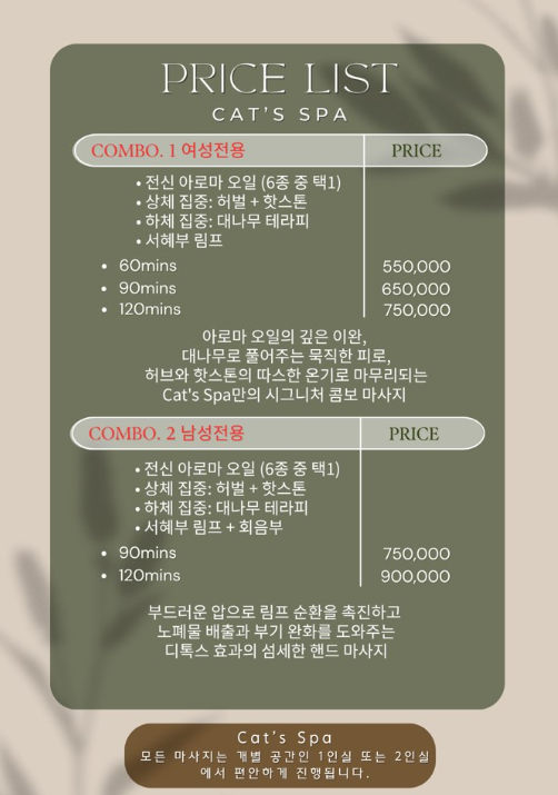 캣츠스파 가격표